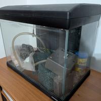 Acquario 42 x 26 cm