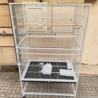 Gabbia grande con ruote nuova