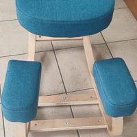 Sedia Ergonomica per computer