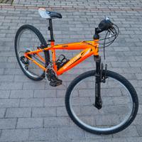 Bicicletta MTB Bottecchia 24"