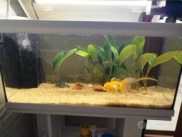 acquario 90 litri 