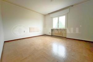 Pentalocale a Pordenone