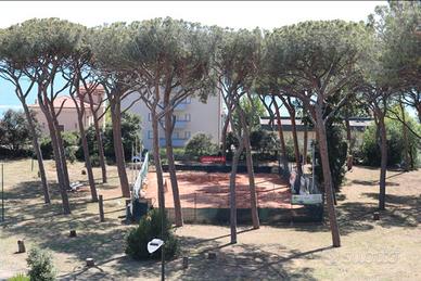 Follonica fronte pineta ponente 100 MT dal mare