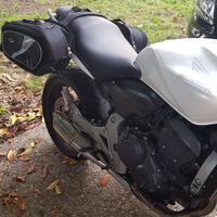 Telaietti/ borse,sottocod Hornet 600,frecce