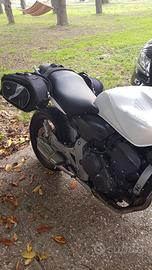 Telaietti/ borse,sottocod Hornet 600,frecce