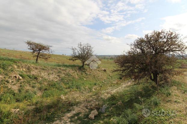 TER. AGRICOLO A ISOLA DI CAPO RIZZUTO