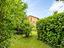 Immagine 24