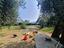 Immagine 23