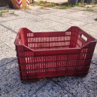 Cassette raccogli frutta