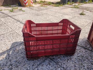 Cassette raccogli frutta