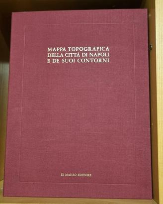 MAPPA TOPOGRAFICA DELLA CITTÀ DI NAPOLI