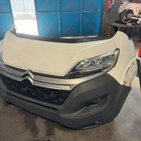 Musata completa Citroen jumper