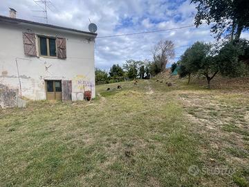 Offagna - casolare in campagna da ristrutturare