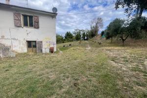 Offagna - casolare in campagna da ristrutturare