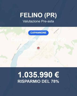 Immobile in asta di 6577 m² a Felino