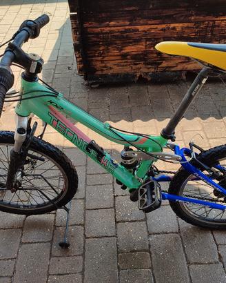bicicletta ragazzo/a con ammortizzatori e marce