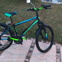 Bicicletta MTB Mountain