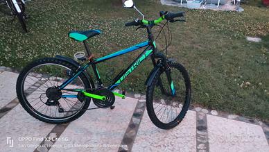 Bicicletta MTB Mountain