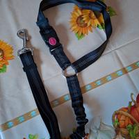 cintura di sicurezza per cani