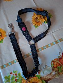 cintura di sicurezza per cani