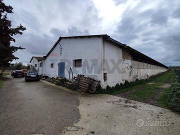 Capannone Industriale - Bisceglie