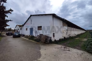 Capannone Industriale - Bisceglie