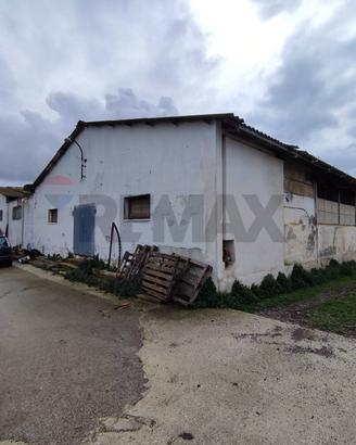 Capannone Industriale - Bisceglie