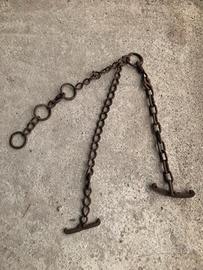 Catene per bovini