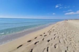 Appartamento ARANCIO - TORRE MOZZA