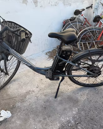 Bici elettrica