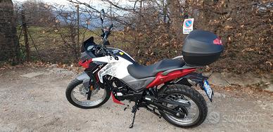 Sym 125 Vendita in Moto e scooter