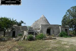 TRULLO e LAMIA PANORAMICI con TERRENO 1Ha