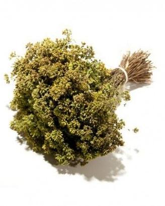 Origano a mazzetti
