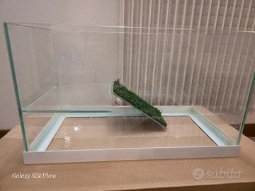 Acquario tartarughe