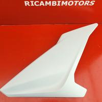 CARENA COVER DX BMW S1000R S 1000 R