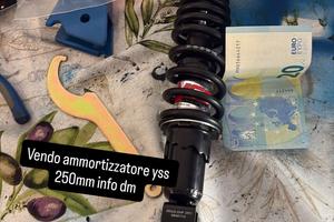 Ammortizzatore yss 250 mm
