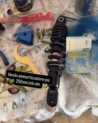Ammortizzatore yss 250 mm
