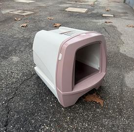 Lettiera per gatti