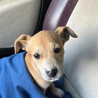 Do via per non saperlo più gestire