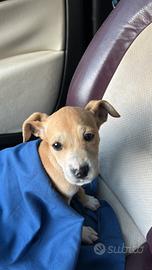 Do via per non saperlo più gestire