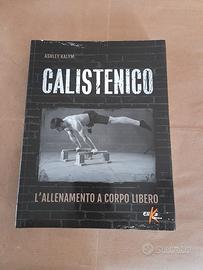 l'allenamento del corpo 