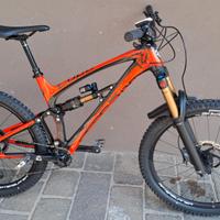 Pedroni Lupo enduro kashima