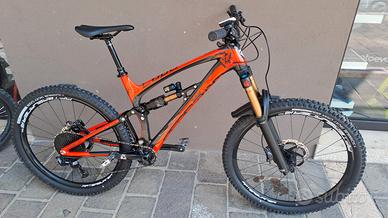 Pedroni Lupo enduro kashima