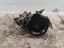 Immagine 8