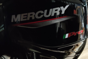 Motore Mercury Pro 40/60