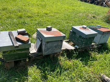 Arnie e materiale apistico