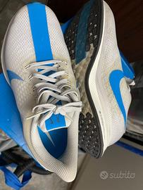 Nike pegasus turbo