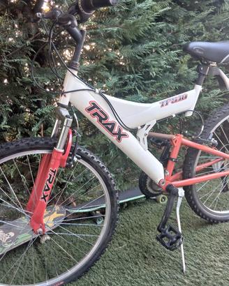 bicicletta ragazzo