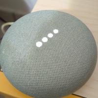 GOOGLE Home Mini
