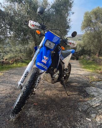 Yamaha WR250R